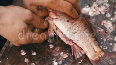 渔夫把刚抓到的一条活泼的<strong>大鱼</strong>的肚子割了下来。 里面有内脏和很多鱼子酱。 清洗鱼